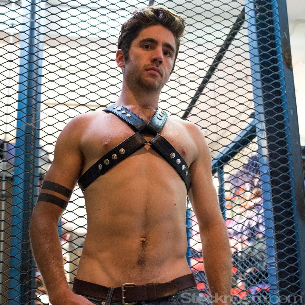 Garment Leather Chest Harness