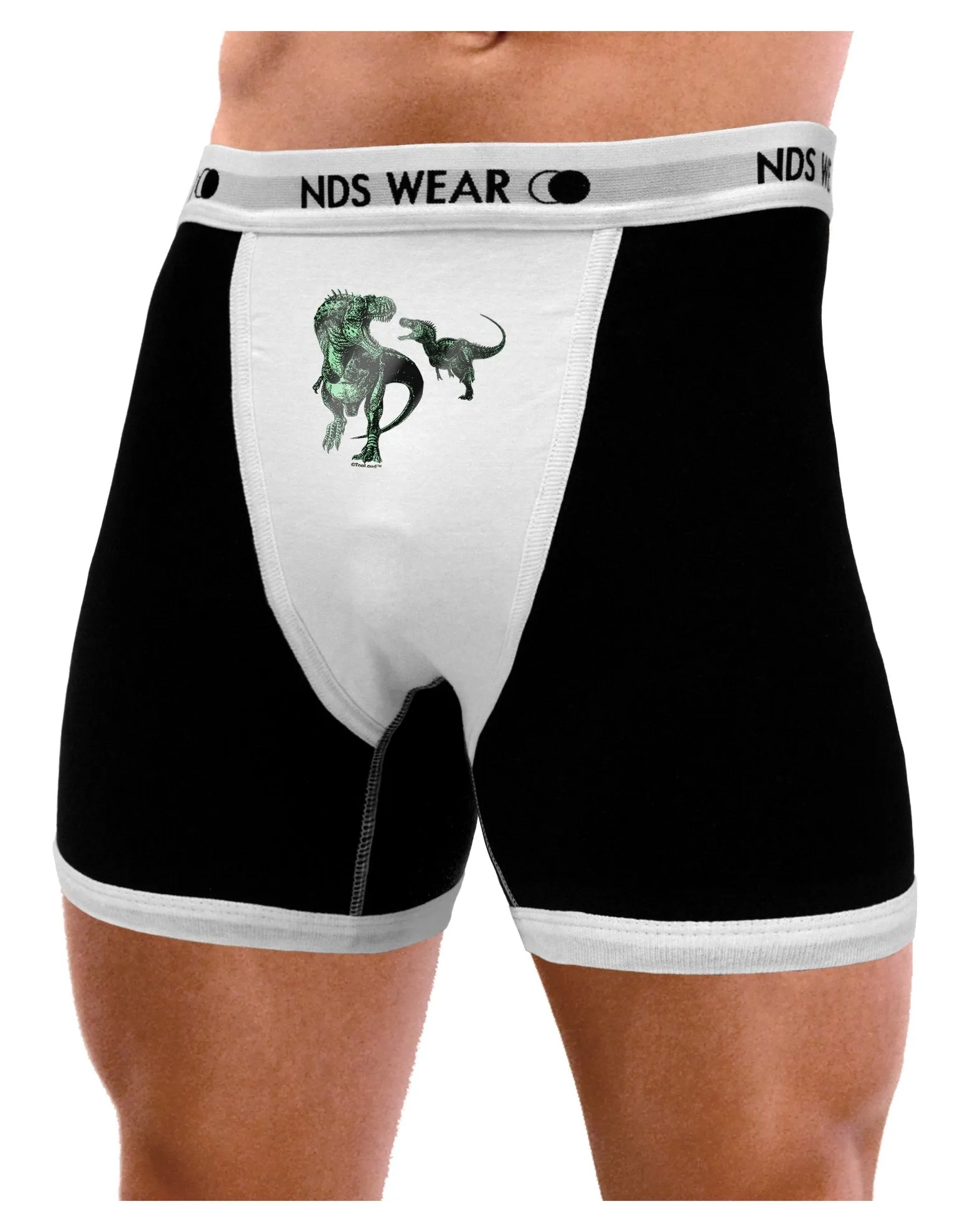 Jurassic Dinosaur Metallic - Silver Mens Boxer Brief Underwear by TooLoud