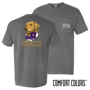 Lambda Chi Comfort Colors Retriever Flag Tee