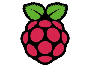 Raspberry Pi® - Sticker